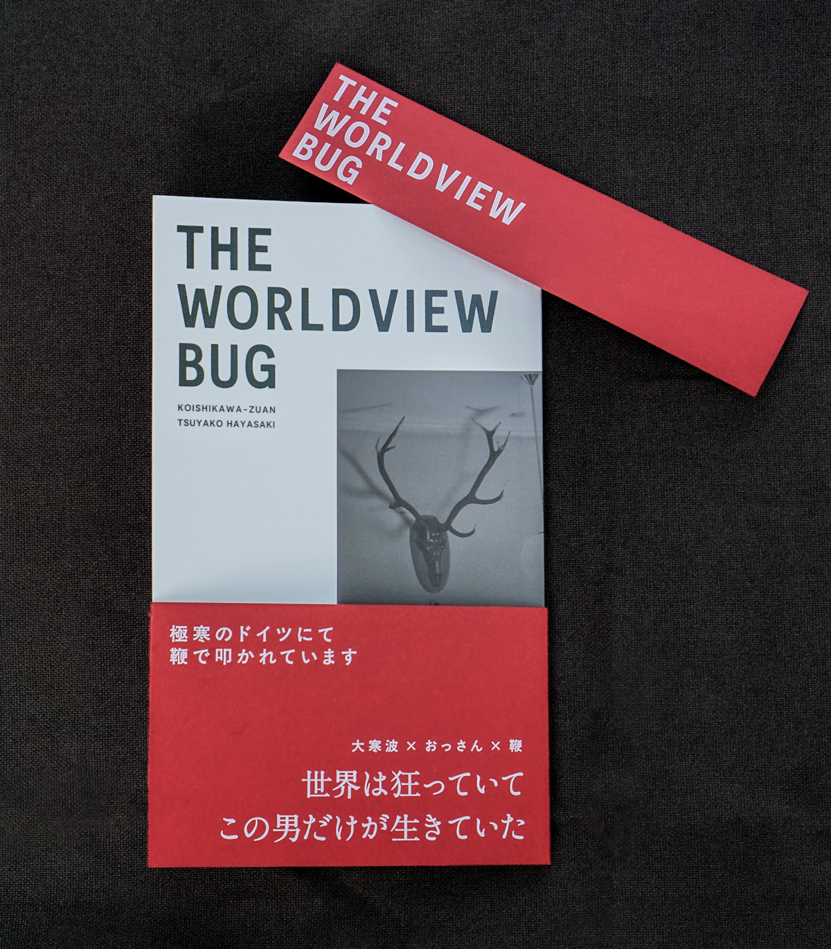 『THE WORLDVIEW BUG』の書影