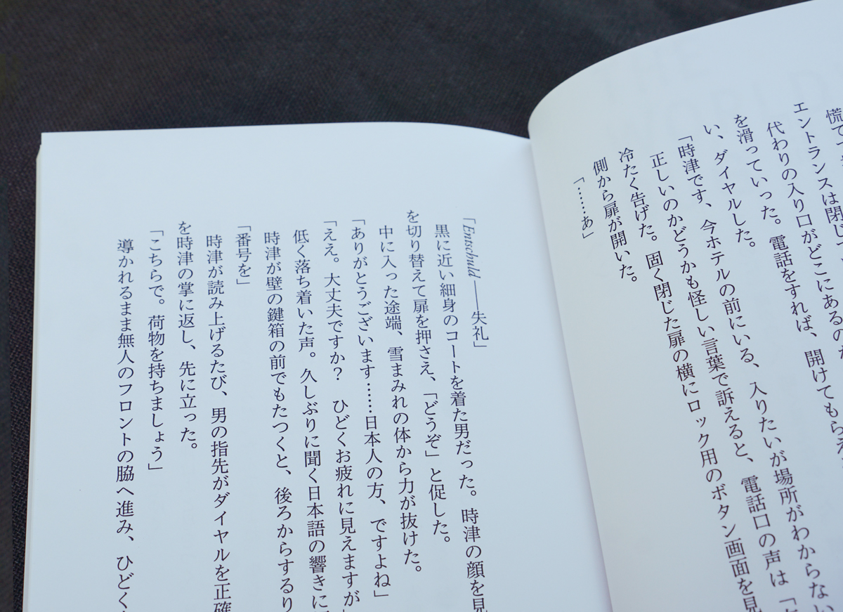 『THE WORLDVIEW BUG』の本文・組版写真